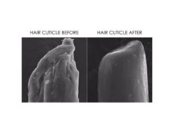 OLAPLEX Anti-Frizz Smooth & Shine Set 11 OLAPLEX Anti-Frizz Smooth & Shine Set -Care Products 1qrhxyda 202210181632292352