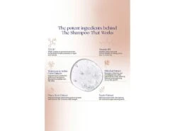 Augustinus Bader The Shampoo 12 Augustinus Bader The Shampoo -Care Products bcembvld 202302171837388506