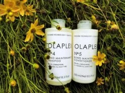 OLAPLEX No. 4 Bond Maintenance Shampoo 20 OLAPLEX No. 4 Bond Maintenance Shampoo -Care Products c20keiu0 202208241546137313