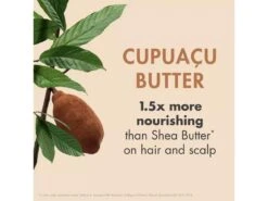 Klorane 3-in-1 Hair Mask With Organic Cupuaçu Butter -Care Products cokvb035 202212142018448347