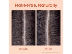 Klorane Balancing Shampoo With Galangal -Care Products kz5w352t 202209061453283059