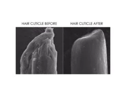 OLAPLEX No. 4 Bond Maintenance Shampoo 15 OLAPLEX No. 4 Bond Maintenance Shampoo -Care Products xybjisp2 202207211520305311