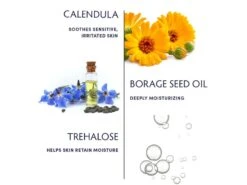 Naturopathica Calendula Essential Hydrating Cream 8 Naturopathica Calendula Essential Hydrating Cream -Care Products zgkc2lxo 202111292249494285